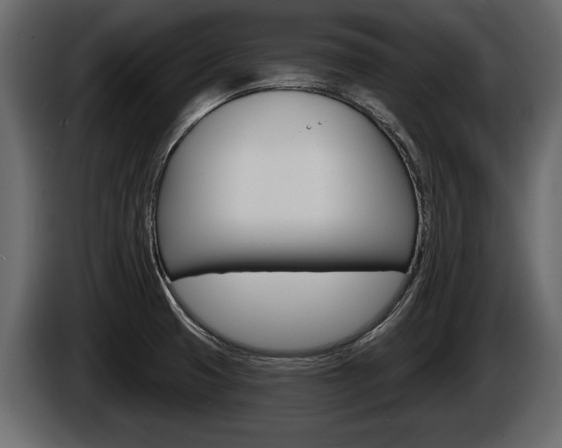 X0000086001425200703230839