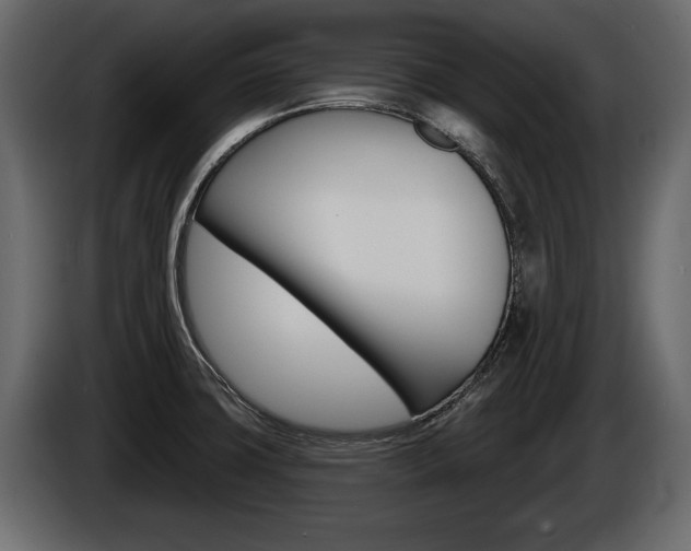 X0000086001427200703230839