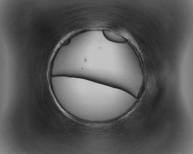 X0000086001429200703230839