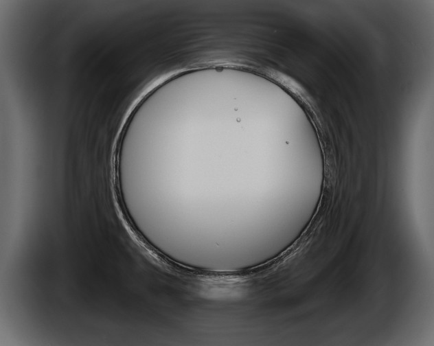 X0000086001431200703230839