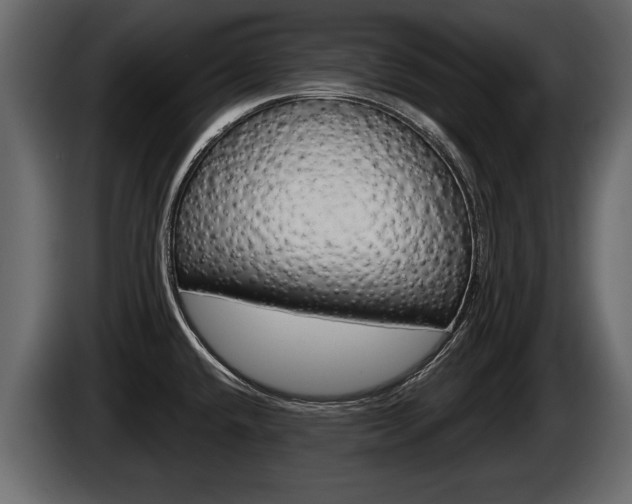 X0000086001432200703230839