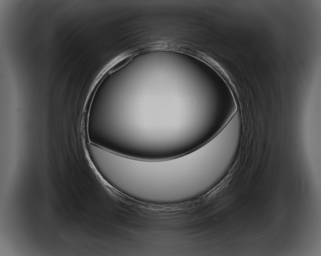 X0000086001434200703230839