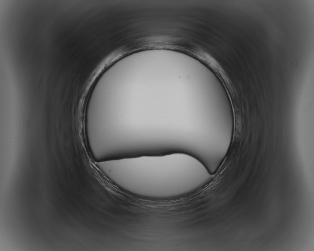 X0000086001435200703230839