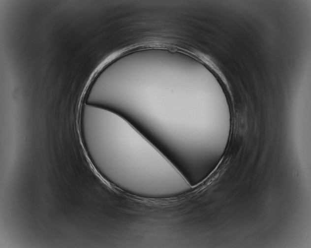 X0000086001437200703230839