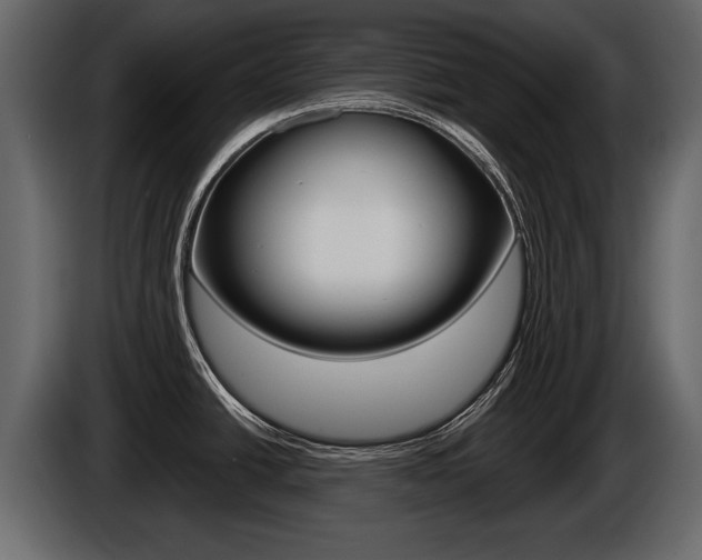 X0000086001438200703230839