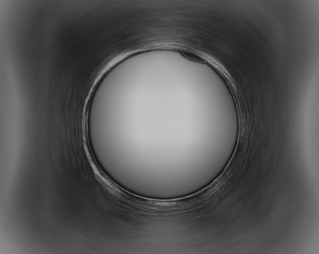X0000086001439200703230839