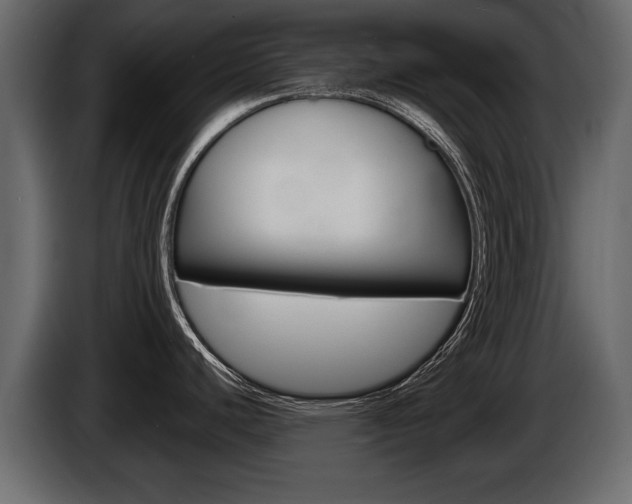 X0000086001440200703230839