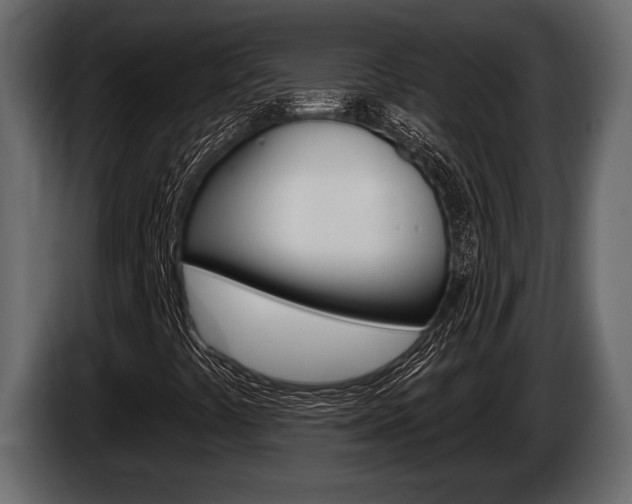 X0000086001441200703230839