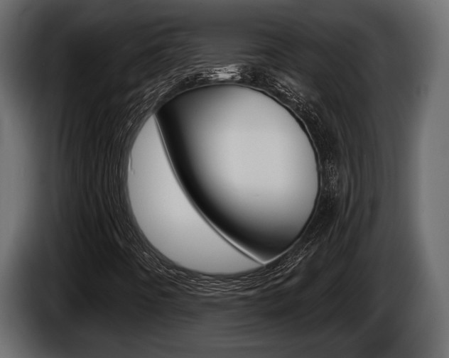 X0000086001442200703230839