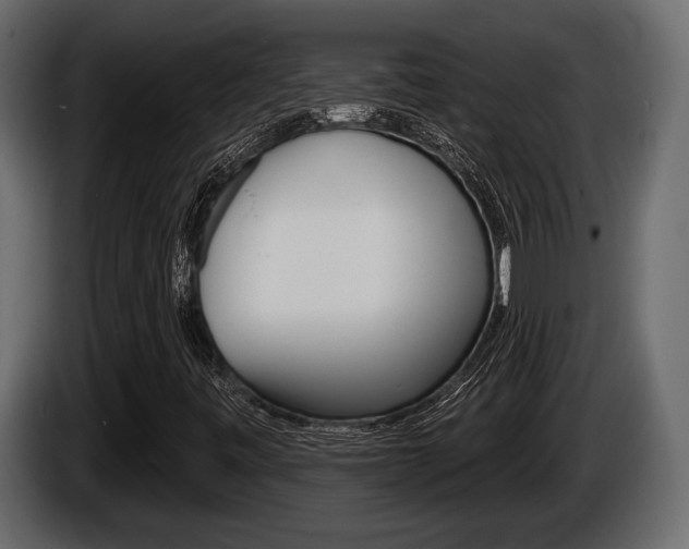 X0000086001443200703230839