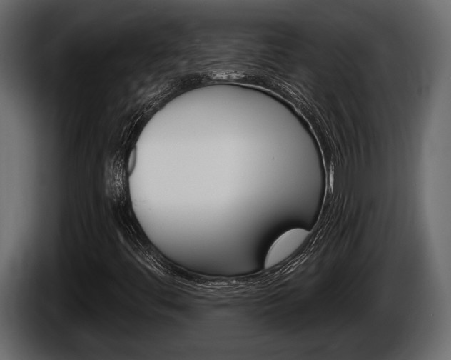 X0000086001444200703230839