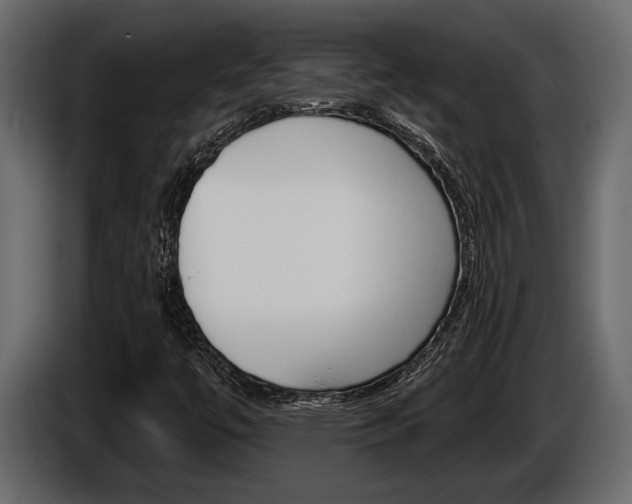X0000086001447200703230839
