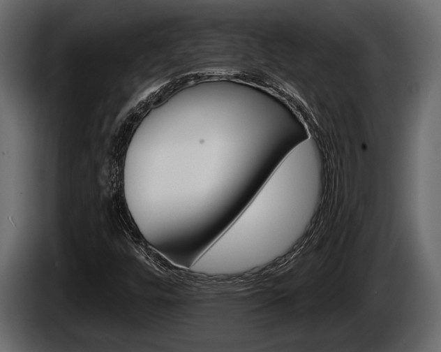 X0000086001448200703230839