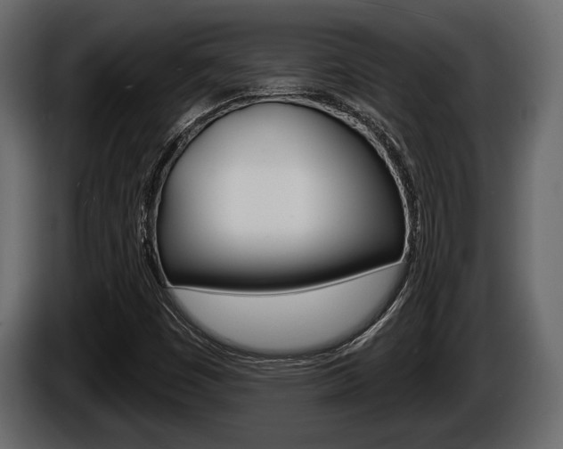 X0000086001449200703230839