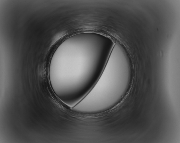 X0000086001450200703230839