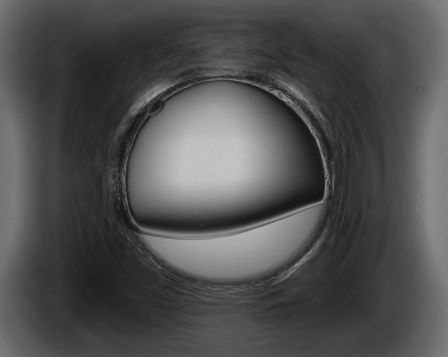 X0000086001453200703230839