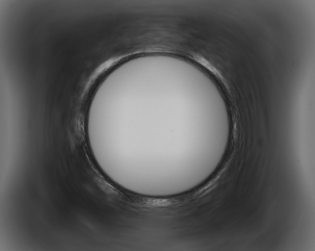 X0000086001454200703230839