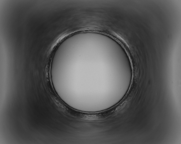 X0000086001455200703230839