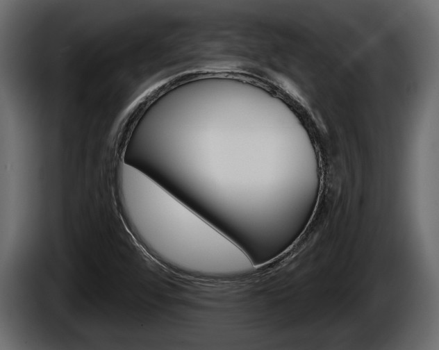 X0000086001456200703230839