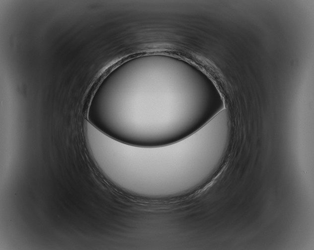 X0000086001457200703230839