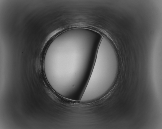 X0000086001458200703230839