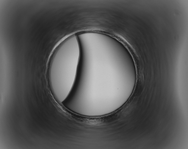 X0000086001460200703230838
