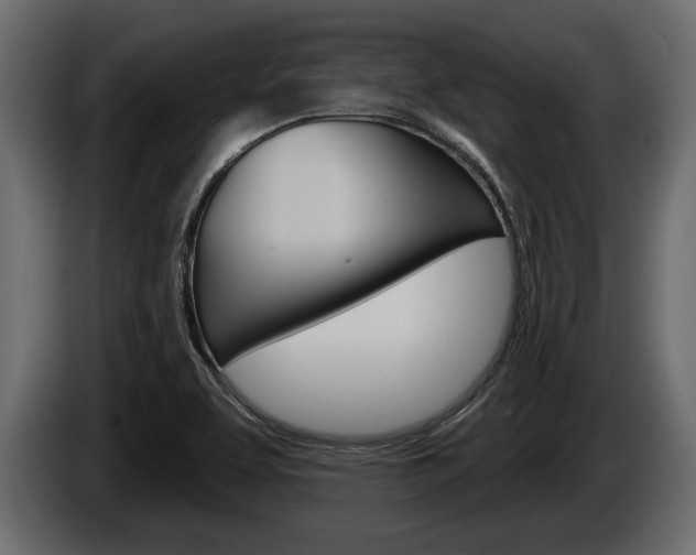 X0000086001463200703230838