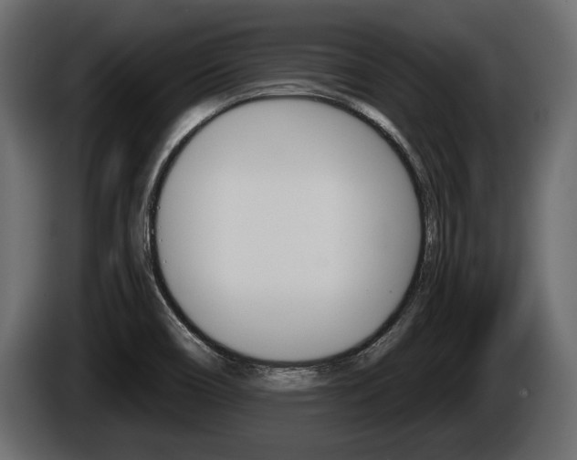 X0000086001466200703230838