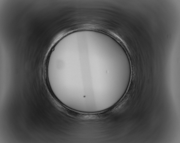 X0000086001467200703230838