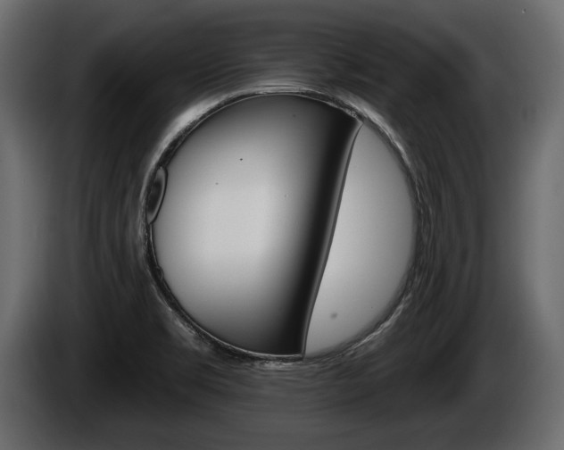 X0000086001469200703230838