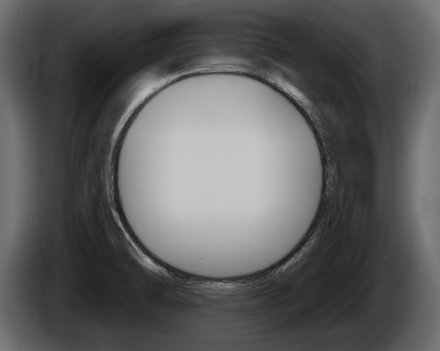 X0000086001470200703230838