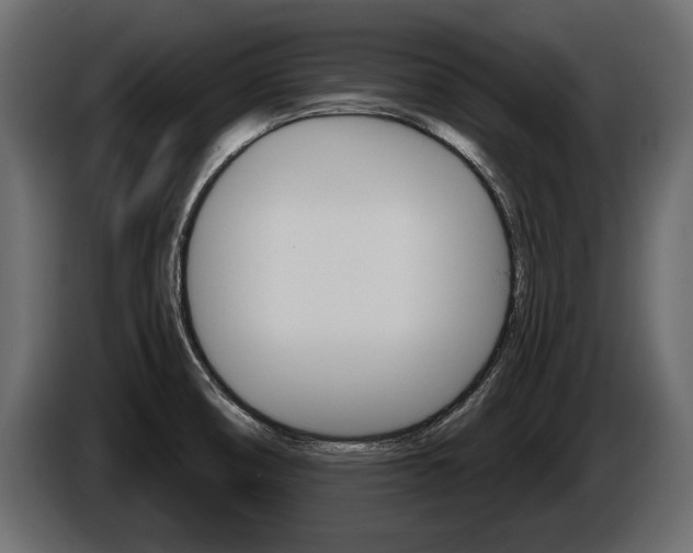 X0000086001474200703230838