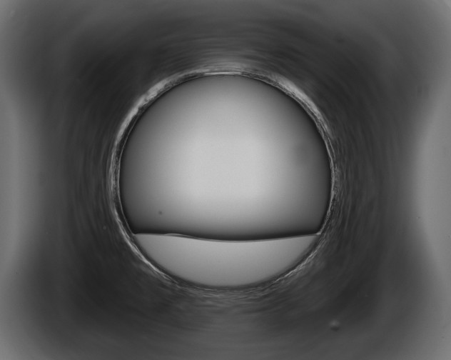 X0000086001477200703230838