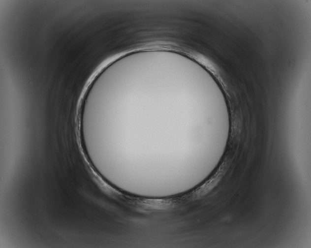 X0000086001478200703230838