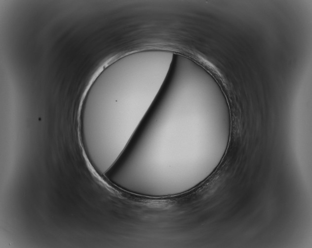 X0000086001479200703230838
