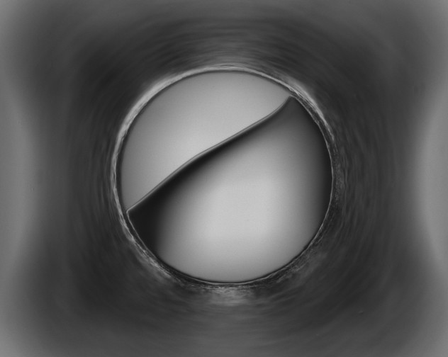 X0000086001480200703230838