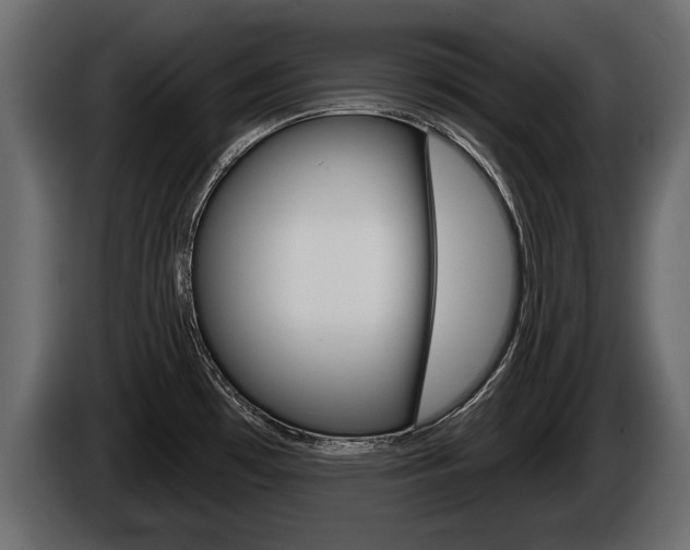 X0000086001481200703230838