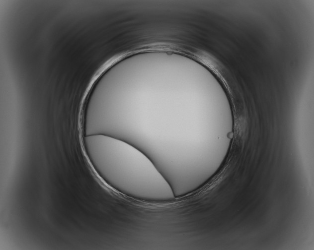 X0000086001482200703230838