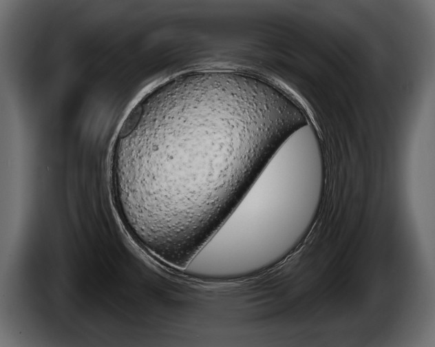 X0000086001483200703230838