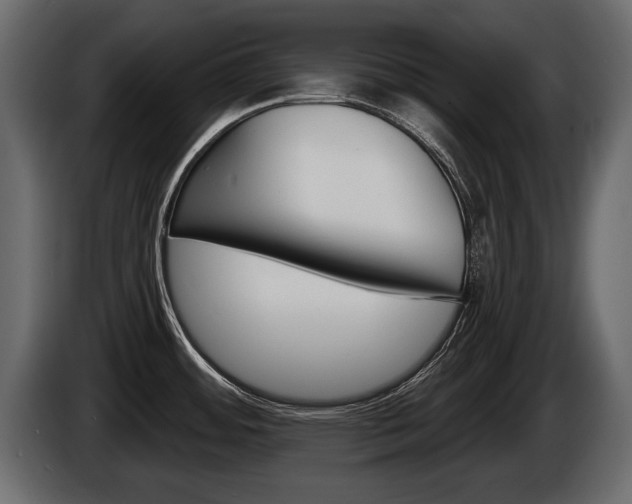 X0000086001484200703230838
