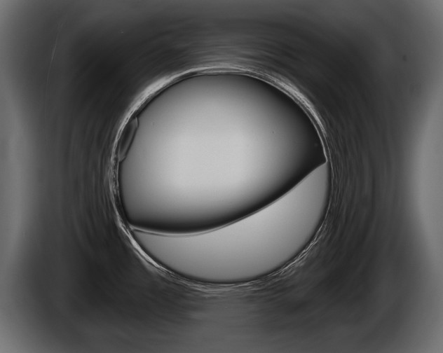 X0000086001485200703230838