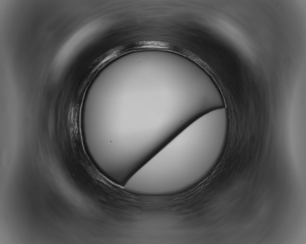 X0000086001487200703230838