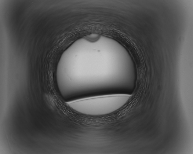 X0000086001489200703230837