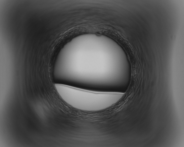 X0000086001490200703230837