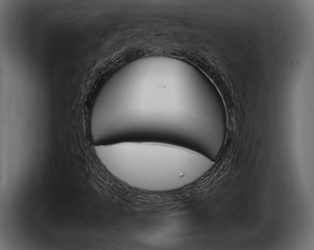 X0000086001493200703230837