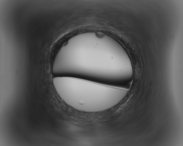 X0000086001494200703230837