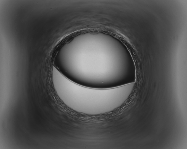 X0000086001496200703230838