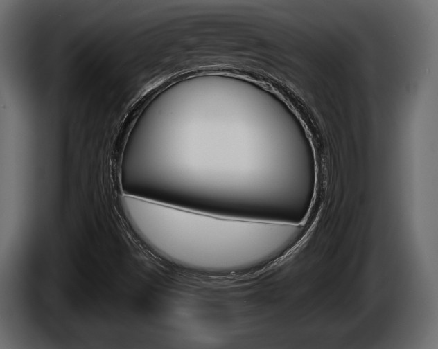 X0000086001497200703230838