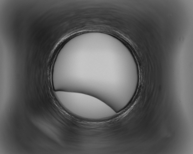 X0000086001498200703230838