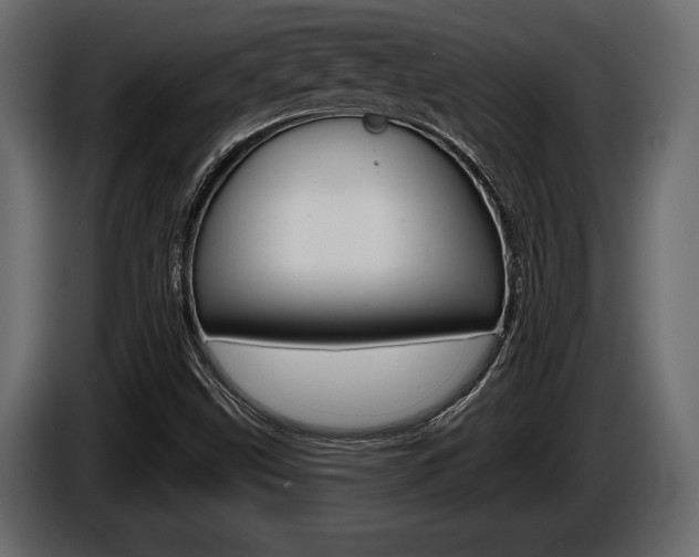 X0000086001499200703230838